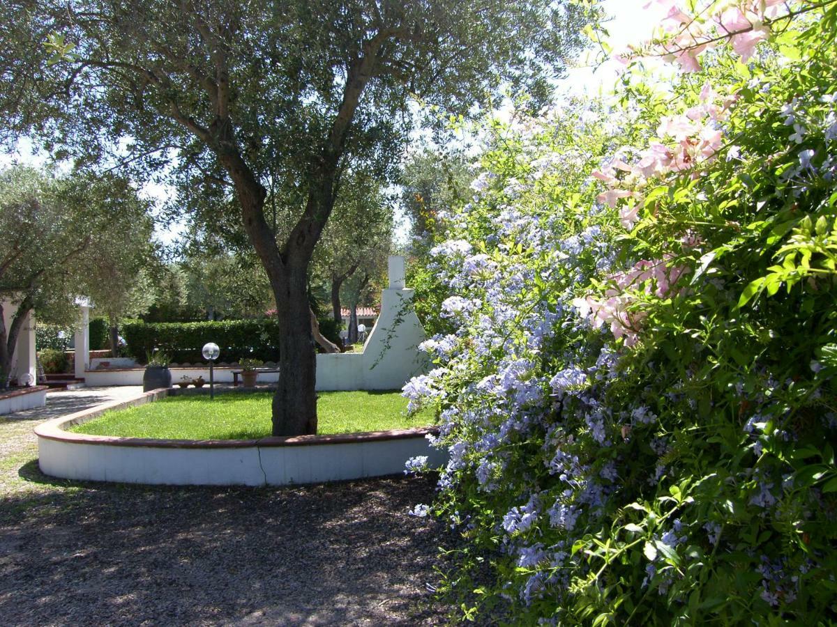 Villa Sarda Sorso Eksteriør bilde